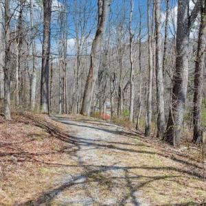 040-DJI_20260324013100_0172_D