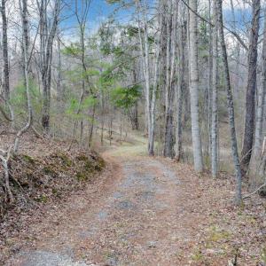 041-DJI_20260324013119_0173_D