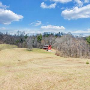 049-DJI_20260324013315_0181_D