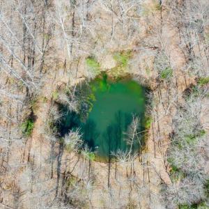 055-DJI_20260324015522_0193_D