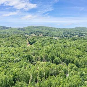 1512 Snow Creek Rd