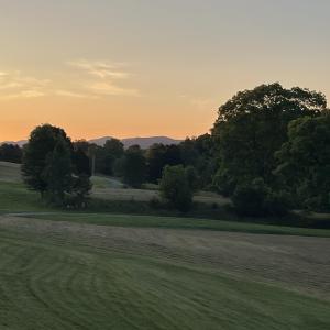 IMG_3779