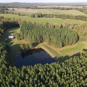 Aerial View of Cabin tucked in the pines