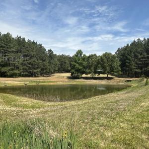 Almost .5 Acre stocked pond