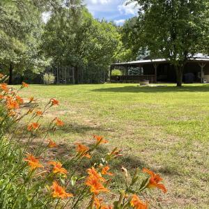 Beautiful Grounds