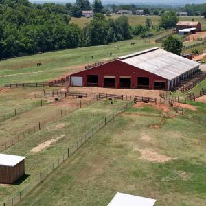 Horse Farm - 4