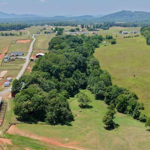 Horse Farm - 5