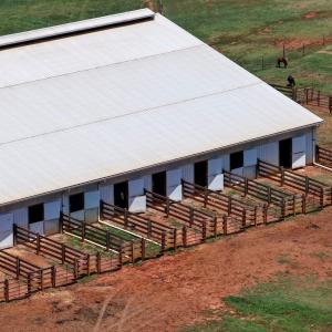 Horse Farm - 9
