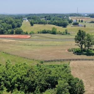 Horse Farm - 10