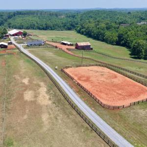 Horse Farm - 11