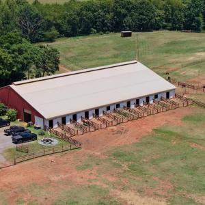 Horse Farm - 12