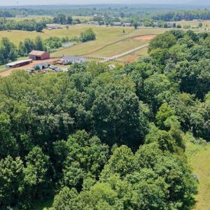 Horse Farm - 16