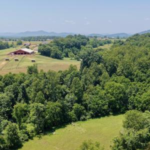 Horse Farm - 17