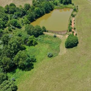 Horse Farm - 18