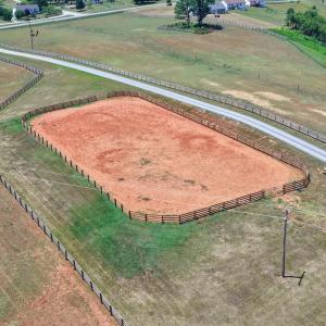 Horse Farm - 19