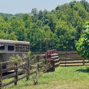 Horse Farm - 23