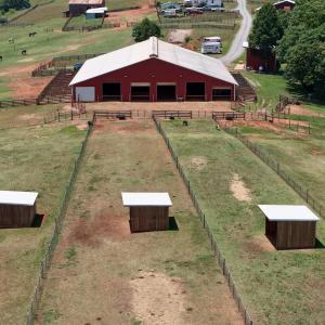 Horse Farm - 24