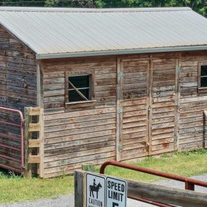 Horse Farm - 25