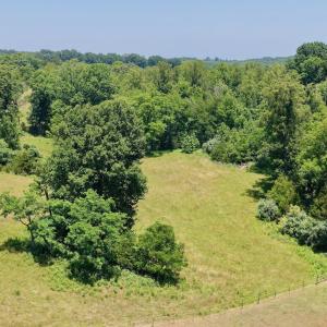 Horse Farm - 26
