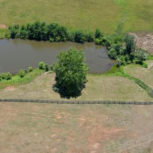 Horse Farm - 30