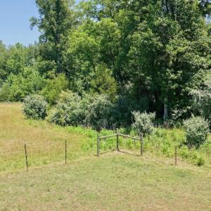 Horse Farm - 42