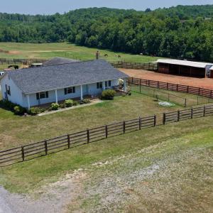 Horse Farm - 46