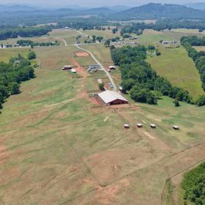 Horse Farm - 50
