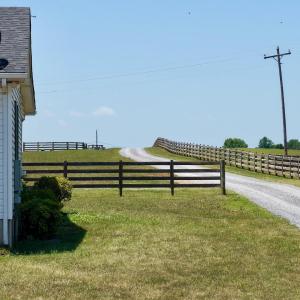 Horse Farm - 51
