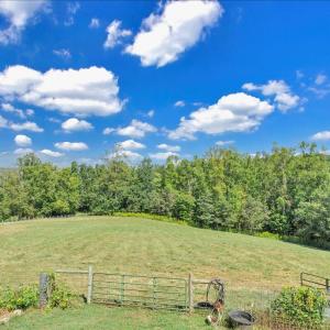 Fenced Pastures
