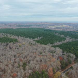 DJI_0405