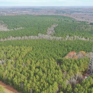 DJI_0410