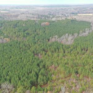 DJI_0416