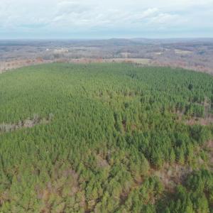 DJI_0418