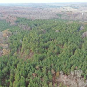 DJI_0419