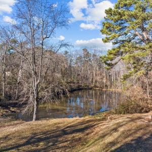 28-web-or-mls-DJI_0247