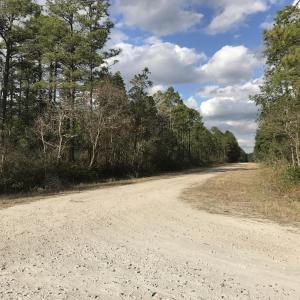 11.6 ACRES ON CAMELIA RD