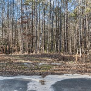 1-web-or-mls-DJI_0863