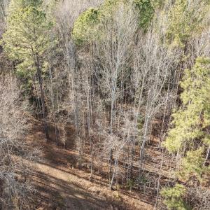 3-web-or-mls-DJI_0865