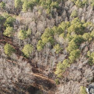 4-web-or-mls-DJI_0866
