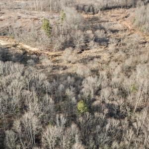 6-web-or-mls-DJI_0872