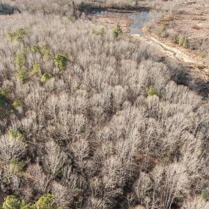 7-web-or-mls-DJI_0873
