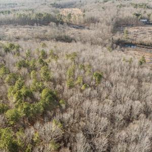 8-web-or-mls-DJI_0874
