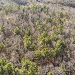 10-web-or-mls-DJI_0876