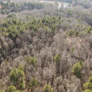 11-web-or-mls-DJI_0877
