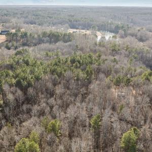 12-web-or-mls-DJI_0878