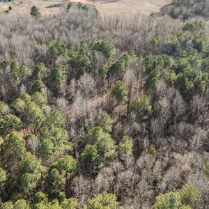 15-web-or-mls-DJI_0881