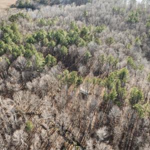 20-web-or-mls-DJI_0889