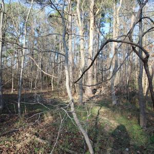 920 lot 1