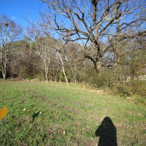 920 lot 10