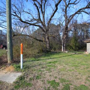 920 lot 12